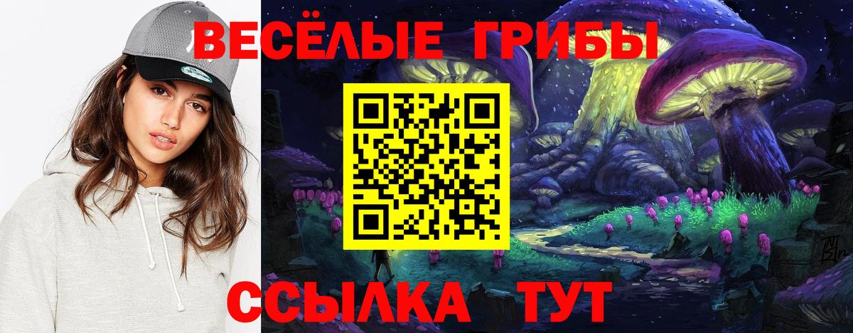 Прохладный  Псилоцибиновые грибы мицелий  Вход с VPN 