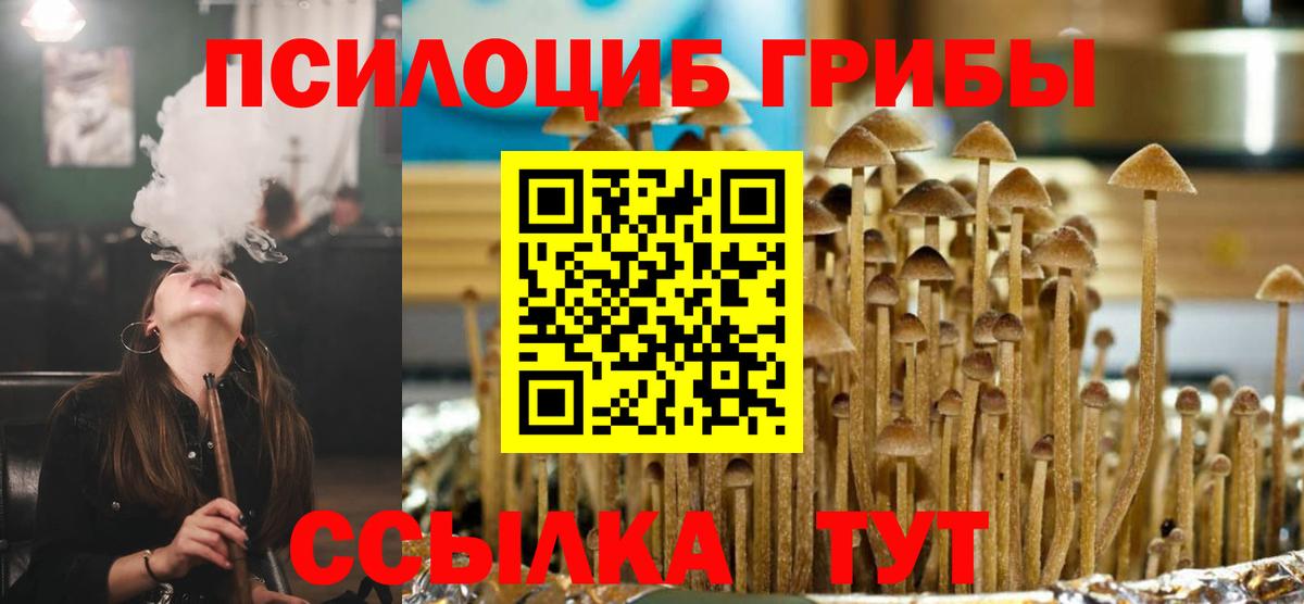 Псилоцибиновые грибы GOLDEN TEACHER Прохладный