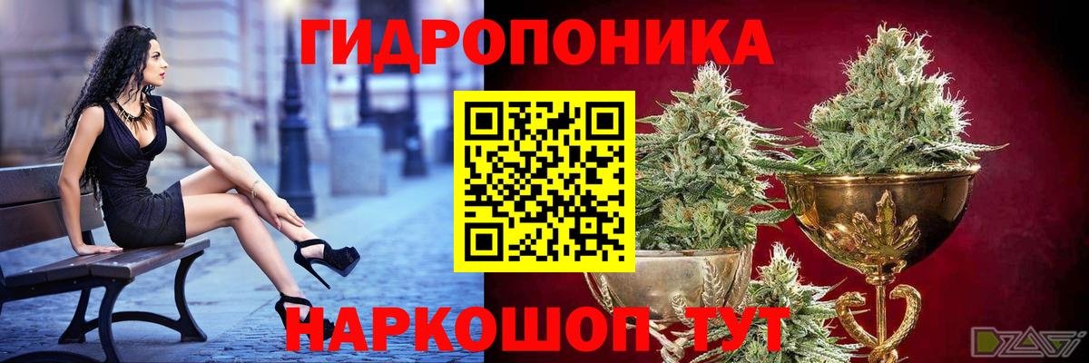 Прохладный  Канабис планчик  Марихуана SATIVA & INDICA  Бошки марихуана семена  Вход с VPN  Бошки марихуана MAZAR 